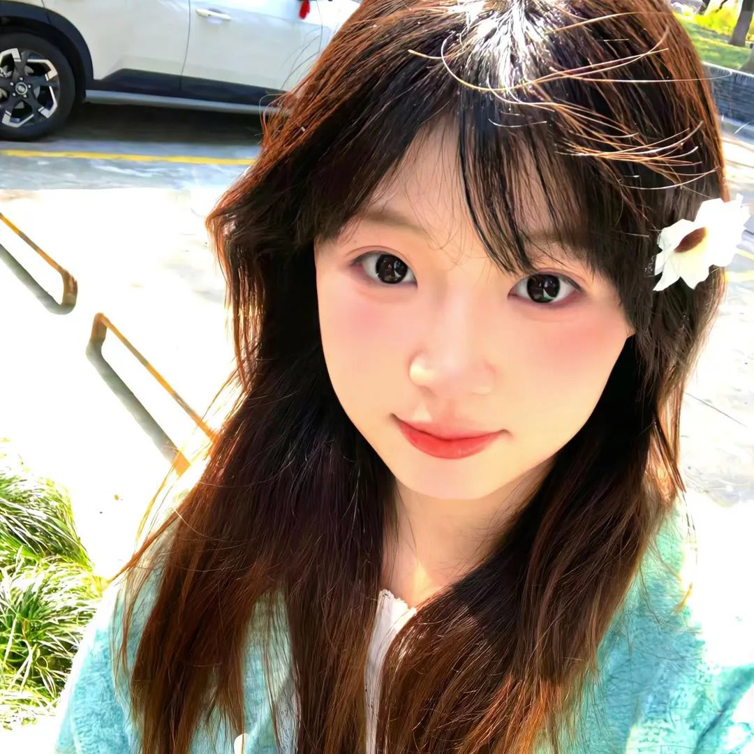 炮灰