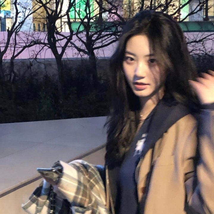狗吃掉了影子